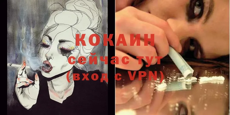 купить закладку  МЕГА маркетплейс  COCAIN Колумбийский  Дрезна 